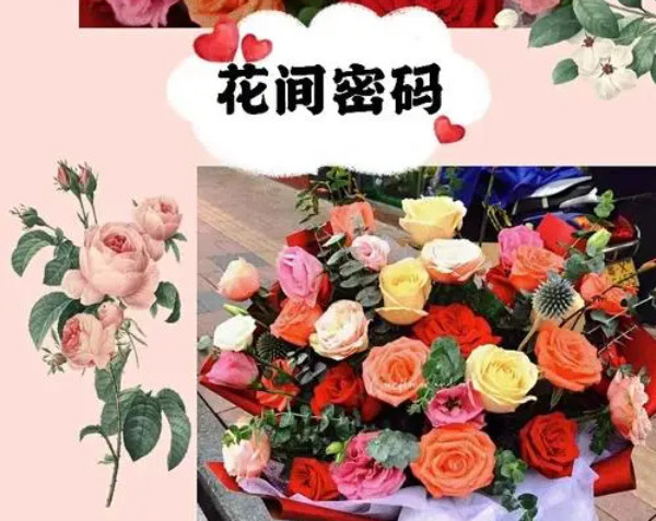 花间密码