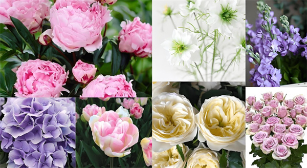 花间密码
