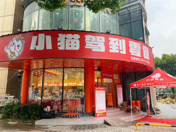 小猫驾到零食