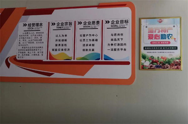 团如易加盟费