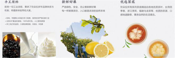 饮朵拉大杯茶