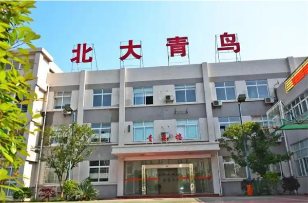 北大青鸟