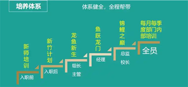 平行线教育