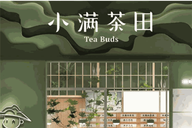 小满茶田