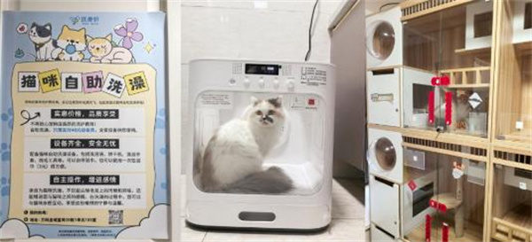送美邻