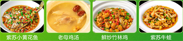 王小赞肥肠竹林鸡