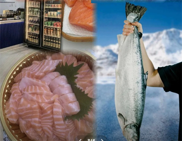 海里家里三文鱼