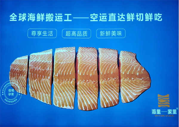 海里家里三文鱼