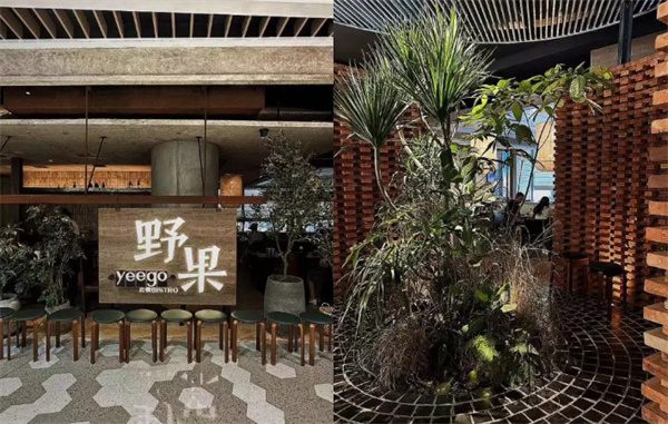 野果餐厅加盟费