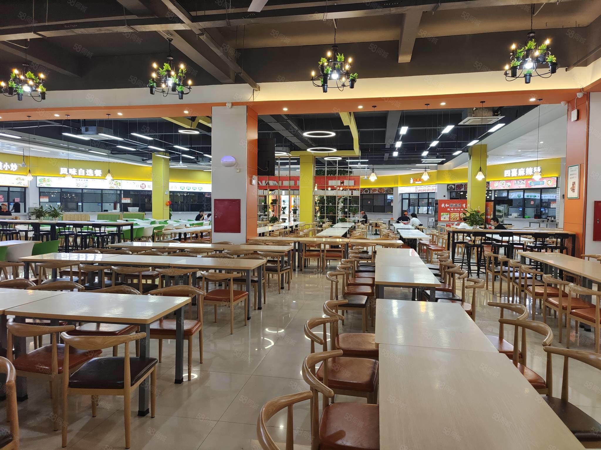 揭秘上海校园餐饮市场！大学食堂档口挣钱吗？