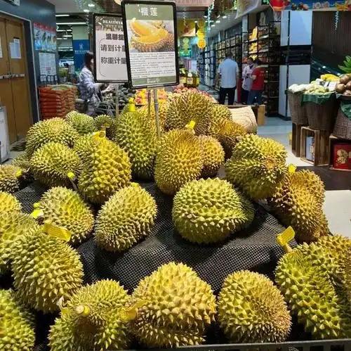 在水果市场竞争激烈时，榴莲专卖店真的可以挣钱吗？