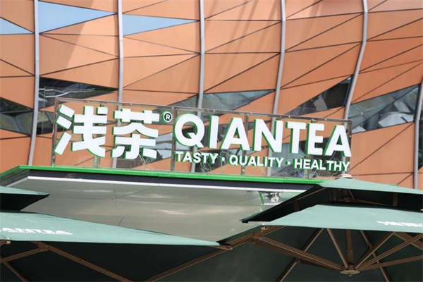 浅茶茶欢加盟费