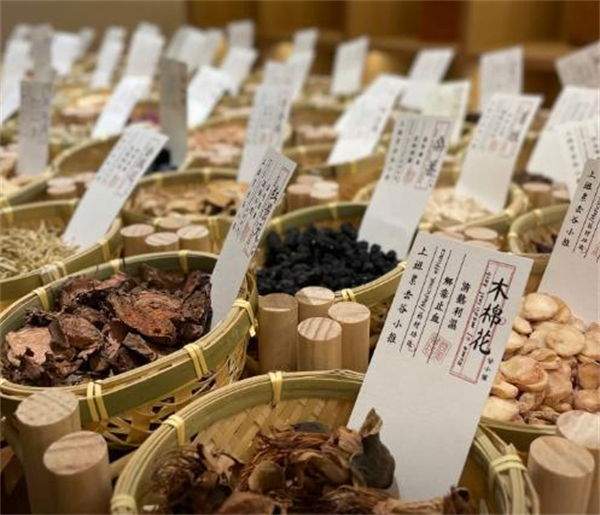 谷小推中式推拿加盟费
