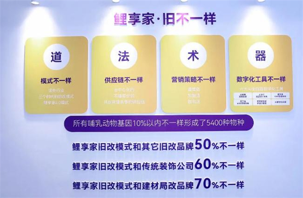 鲤享家加盟费